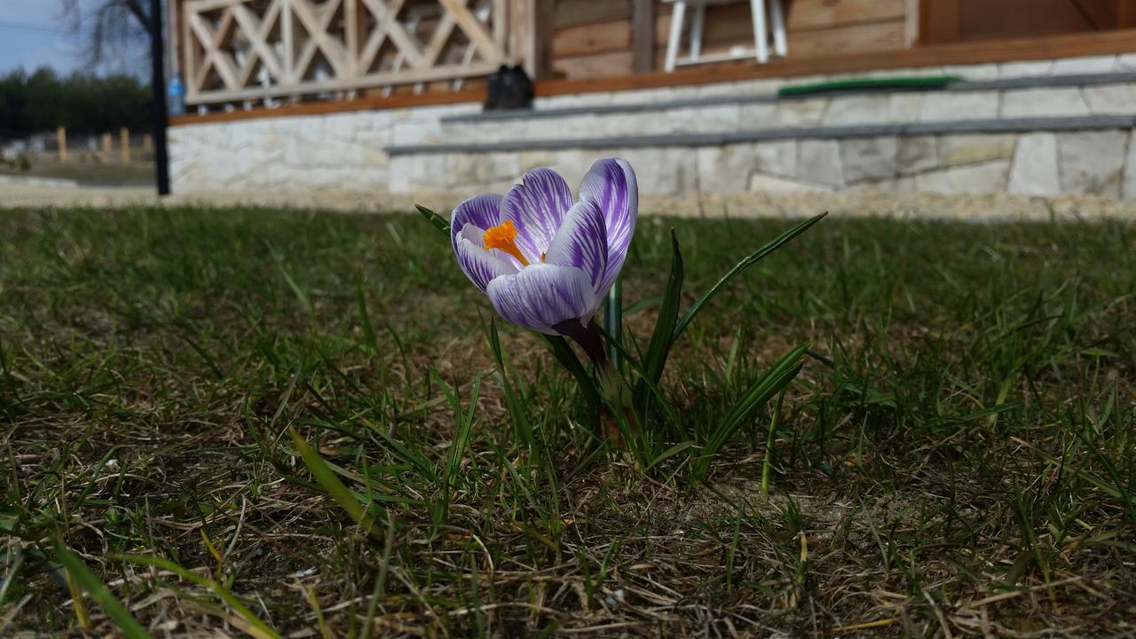 Resort Kompleks Male Dolomity *