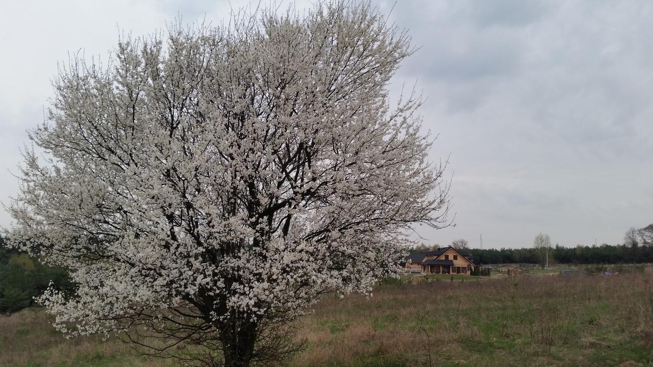 Kompleks Male Dolomity * Hucisko (Silesia)